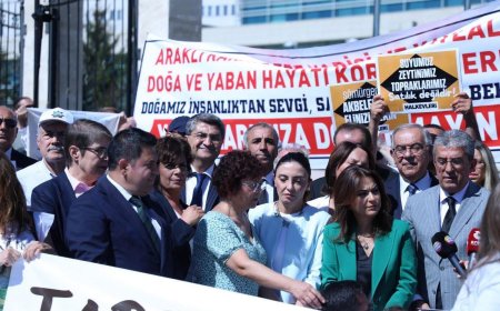 Zeytin Katliamı Yasası İptal Edilsin