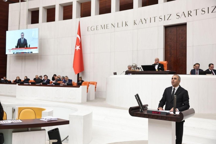 Hatay Samandağ’da Zeytin ve Narenciye Bahçelerinde Ağaç Katliamı: Meclise Taşındı
