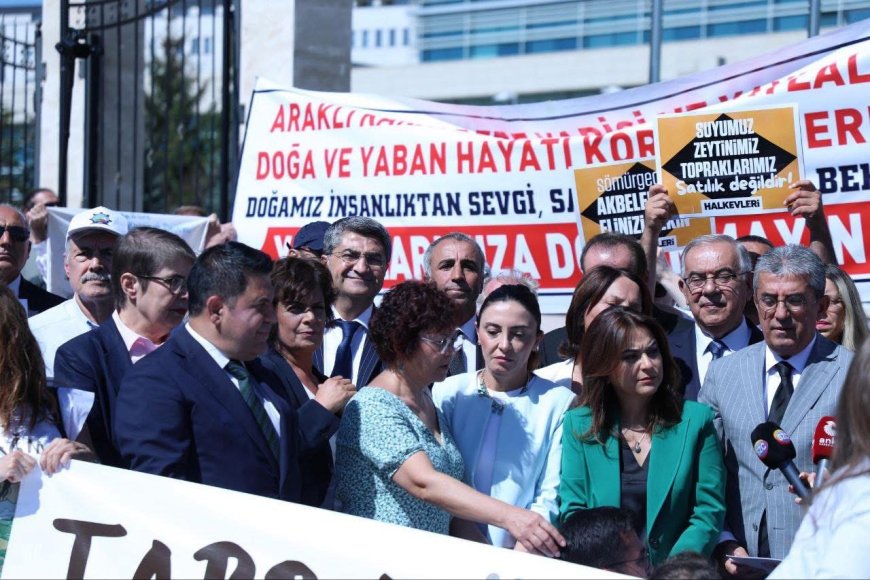 Zeytin Katliamı Yasası İptal Edilsin