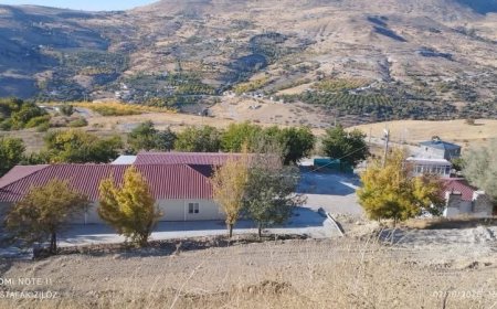 Kürecik Ortaköy Köy Konağı’nda Çevre Düzenlemesi ve Kilit Taşı Çalışmaları Tamamlanıyor