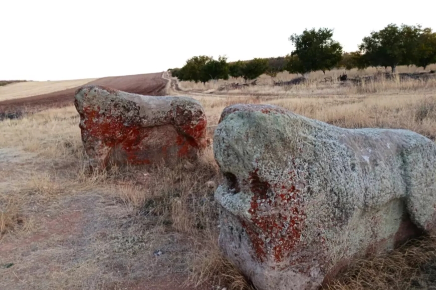 Darende’de Aslantaşlar Yerinde Kalacak Taşıma Kararı İptal Edildi