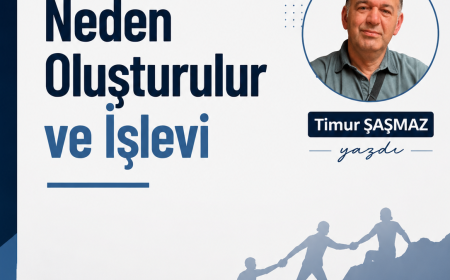 Bir Kurum Neden Oluşturulur ve işlevi 