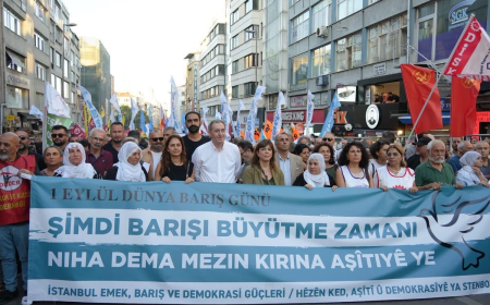1 EYLÜL’DE DİYARBAKIR’DAN İSTANBUL’A BARIŞ İRADESİ  “ARTIK BU ÜLKE BARIŞI BÜYÜTMEK İSTİYOR”