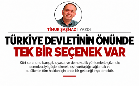 TÜRKİYE DEVLETİNİN ÖNÜNDE TEK BİR SEÇENEK VAR